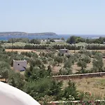 Blue Xenia - 3
