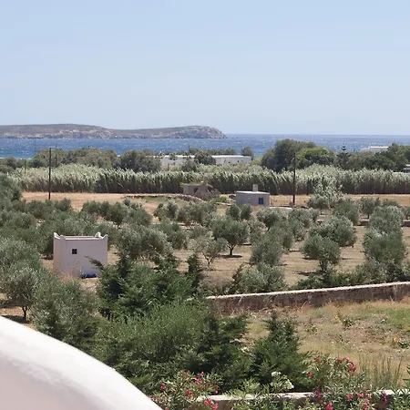Blue Xenia - 3